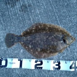 終了間際の奇跡